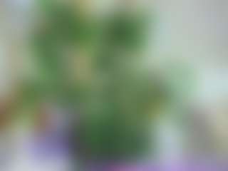 Emilly Bronte's Live Sex Cam Show