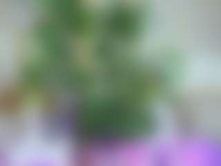 Emilly Bronte's Live Sex Cam Show