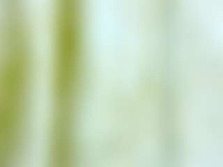 nidhilove's Live Sex Cam Show