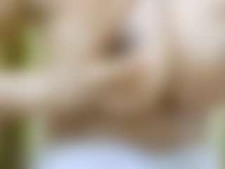Live cam show with nidhilove - Indian on Milfs Live | united states