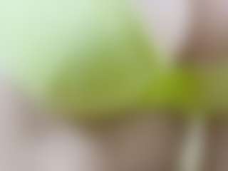 Live cam show with nidhilove - Indian BBW on Milfs Live | france