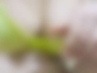 nidhilove's Live Sex Cam Show