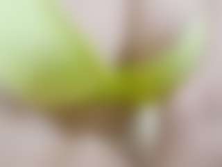 nidhilove's Live Sex Cam Show