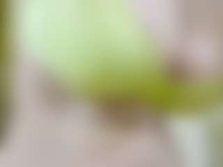 nidhilove's Live Sex Cam Show