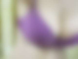 Live cam show with nidhilove - Big Nipples on Camsoda