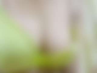 Live cam show with nidhilove - Indian Young Adult on Camsoda | united states