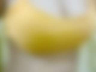 nidhilove's Live Sex Cam Show