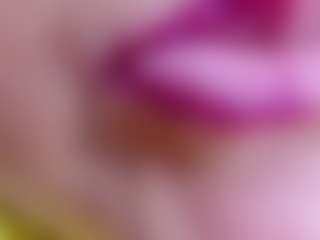 erika-lois's Live Sex Cam Show