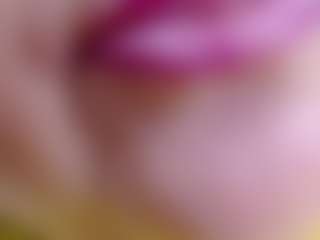 erika-lois's Live Sex Cam Show