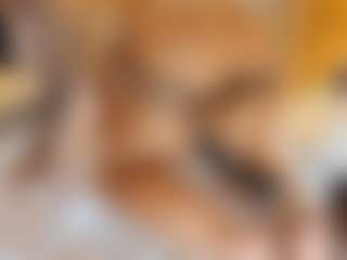 katty-lorenz's Live Sex Cam Show