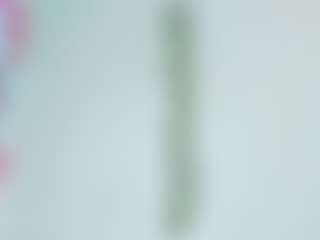 Rainnbow_'s Live Sex Cam Show