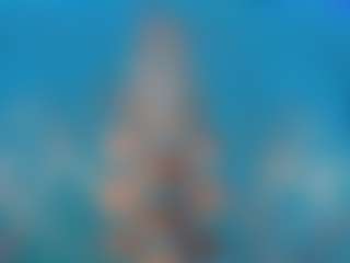 Christie Kroes's Live Sex Cam Show
