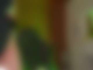 maeeve's Live Sex Cam Show