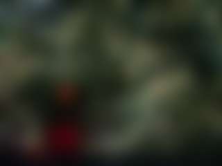 Live cam show with karoline1201 - Femdom on Pornisteam.com