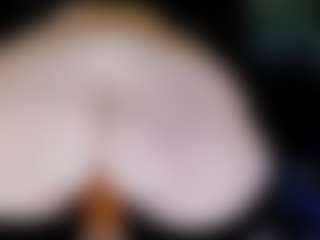 Doomed Nympho's Live Sex Cam Show