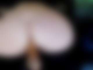 Doomed Nympho's Live Sex Cam Show