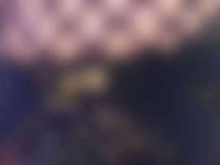 Karissia's Live Sex Cam Show