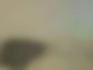 Ashlye Stone - Paula Baleta's Live Sex Cam Show