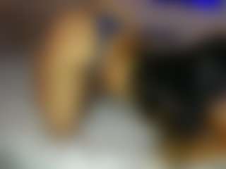 Ashlye Stone - Paula Baleta's Live Sex Cam Show