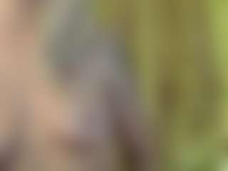 Live cam show with Serenexx - Mature Middle Aged on slutload