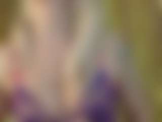 Live cam show with Serenexx - Middle Aged on MyBangCams