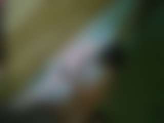 TsPostOphere's Live Sex Cam Show