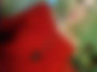 Live cam show with TsPostOphere - Tease on CamwithHer