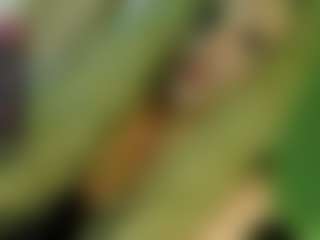 Live cam show with TsPostOphere - White on slutload | united kingdom
