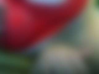 Live cam show with TsPostOphere - Fetish on Mixed Magazine Live