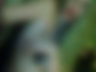 TsPostOphere's Live Sex Cam Show