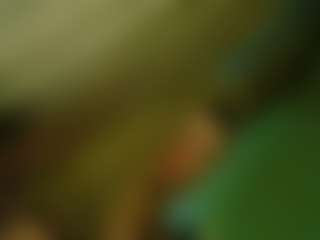TsPostOphere's Live Sex Cam Show