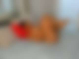 Sexy Angel's Live Sex Cam Show