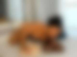 Sexy Angel's Live Sex Cam Show