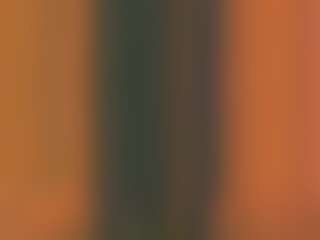 latoyyabed's Live Sex Cam Show