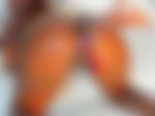 freaky_girl's Live Sex Cam Show