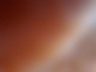Ari The Don's Live Sex Cam Show