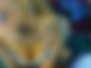 Ari The Don's Live Sex Cam Show