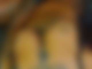 Ari The Don's Live Sex Cam Show