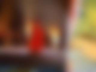 Ari The Don's Live Sex Cam Show