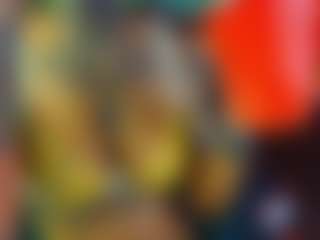 Ari The Don's Live Sex Cam Show