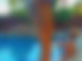 Ari The Don's Live Sex Cam Show
