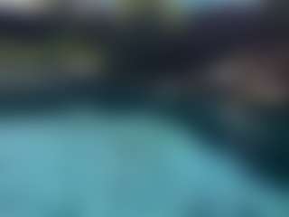Ari The Don's Live Sex Cam Show