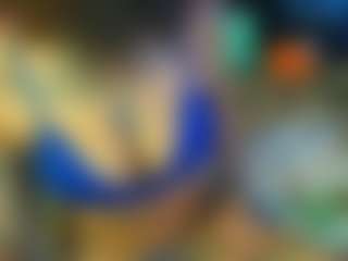 Ari The Don's Live Sex Cam Show