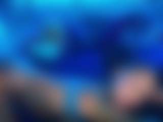 Ari The Don's Live Sex Cam Show