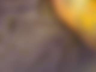 Ari The Don's Live Sex Cam Show