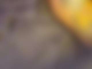Ari The Don's Live Sex Cam Show