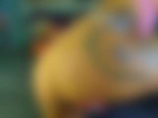 Ari The Don's Live Sex Cam Show