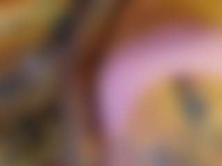 Ari The Don's Live Sex Cam Show