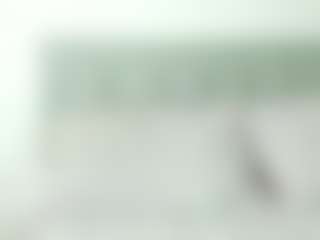jade-obi's Live Sex Cam Show