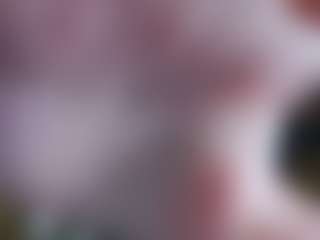 Show de cam sexual en vivo de Anna Angel